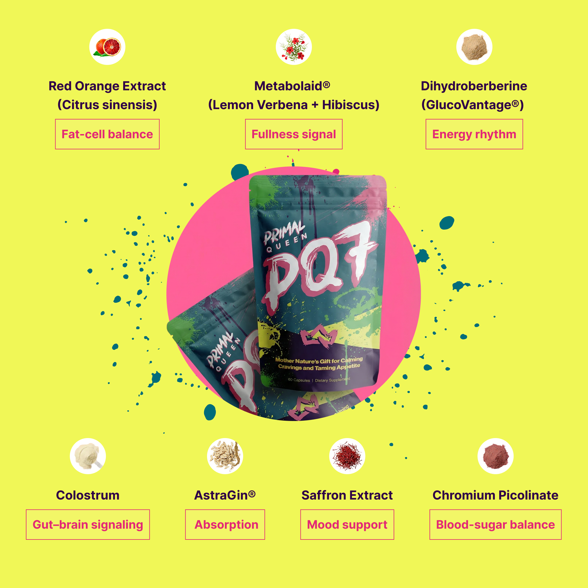 PQ7 Starter Kit (2 Months + 1 Month Free)