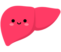Beef Liver